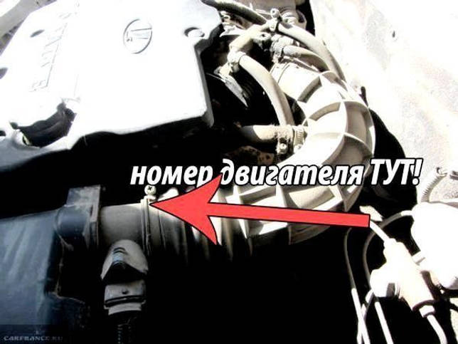 Где находится номер кузова на ваз 2110